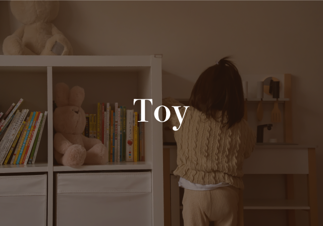 Toy